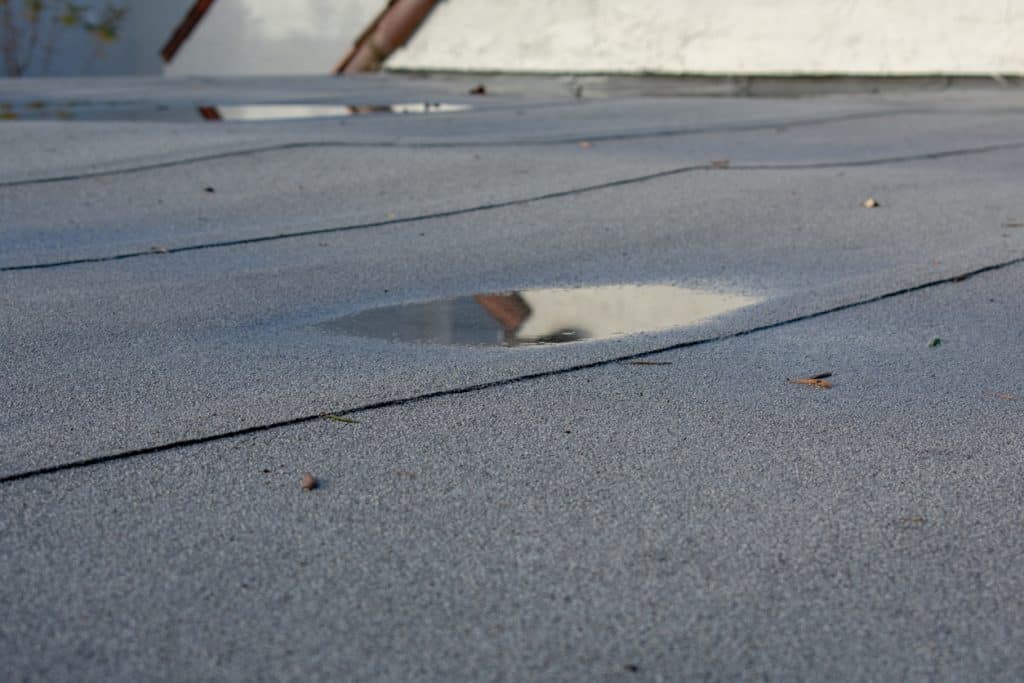 Flat Roofing Myths