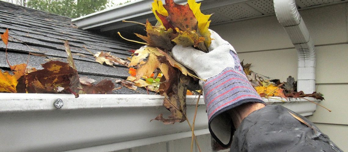 Nature, " Clearing Autumn Leaves from Gutters "