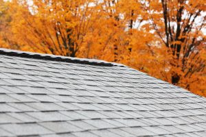 Bright orange autumn trees outline a newly installed residential asphalt shingle roof with a modern ridge vent running the length of the roofline.